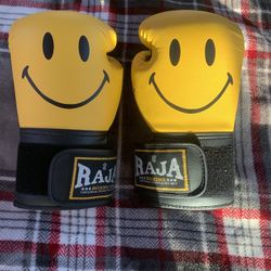 Raja NEW Boxing Gloves 