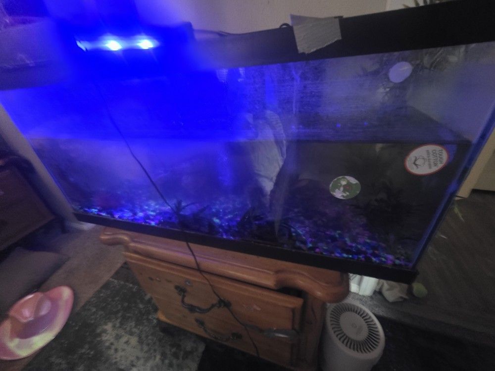 $$$65 .00. $$$ 3 FOOT BY 17 Inches Highth FISH TANK WITH( 2 ) 40 GALLON FTERS 22 Fish