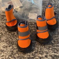 Dog Boots