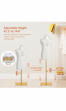New Mannequin torso