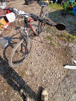 Schwinn OR2