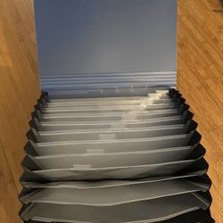 Portable 12 clear tab file folder carrying case