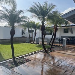 Landscaping grass turf brick paver