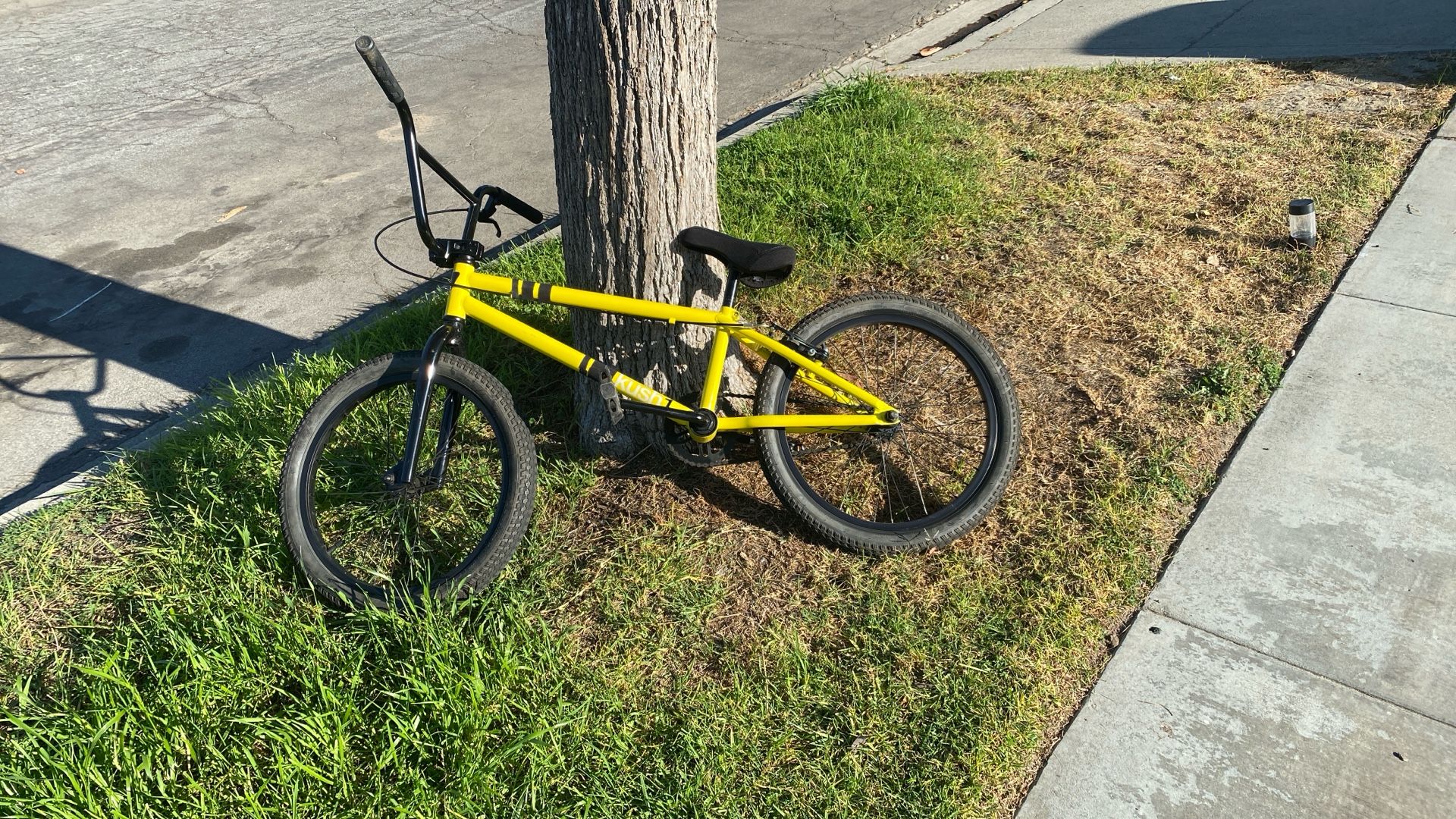 Yellow Bike 