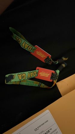 Nocturnal Wonderland 2 day Wristband