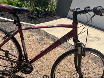 Large bike