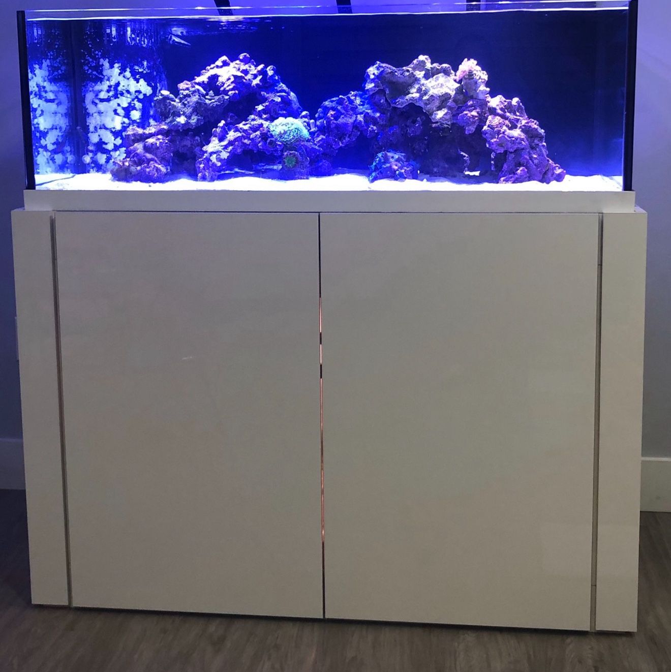 80 gal reef/ fish Aquarium tank rimless
