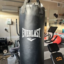 Everlast punching bag and gloves and wraps