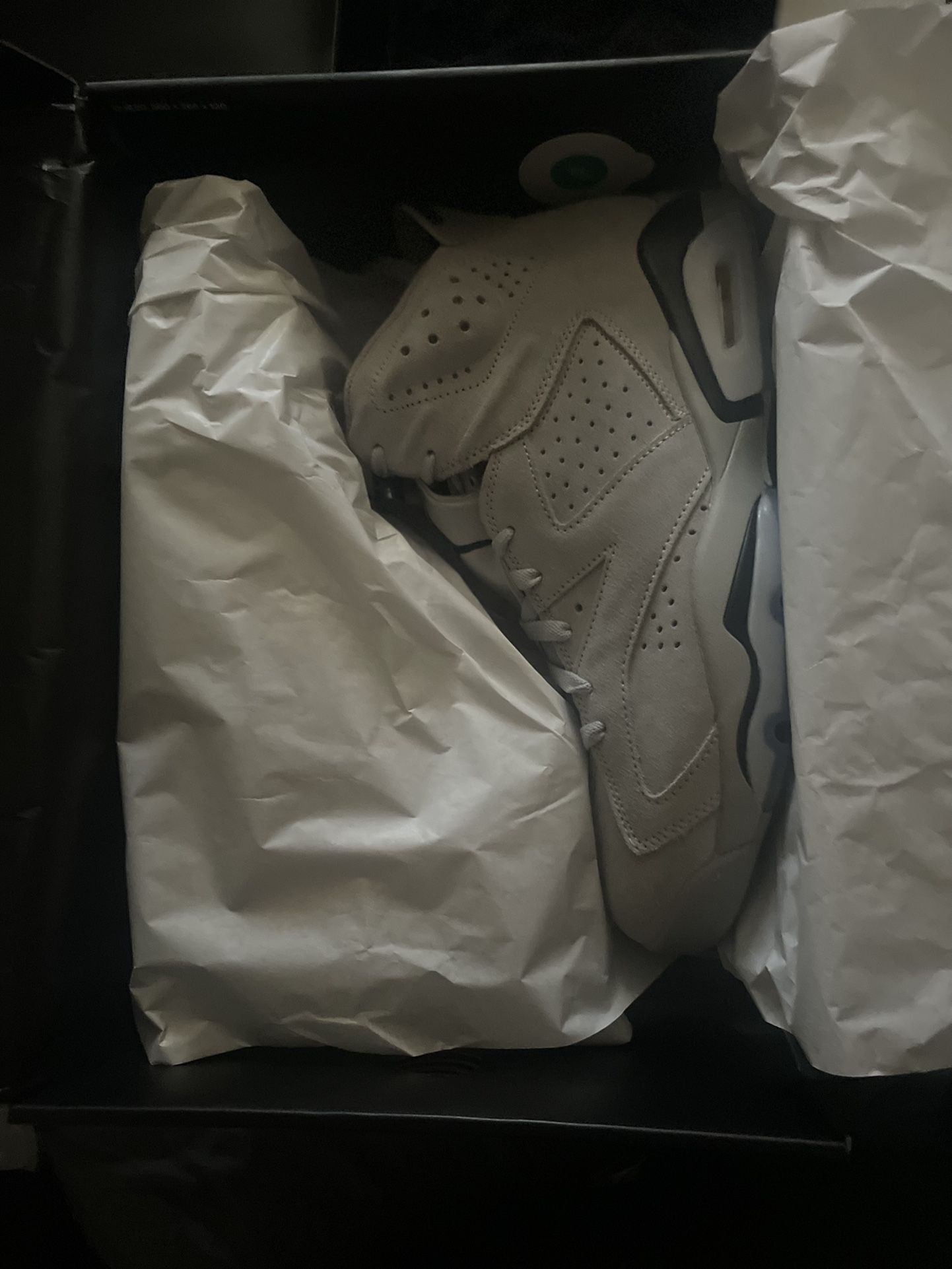 DS Georgetown Jordan 6s 