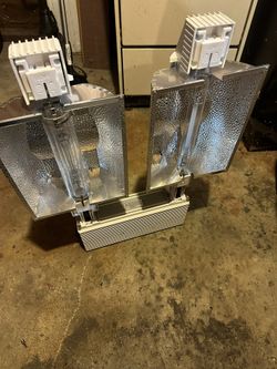 Indoor Grow Light