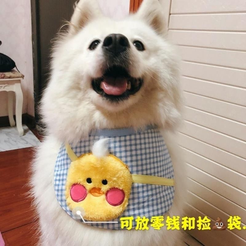 Dog big Blue color