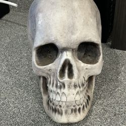 Halloween SKULL