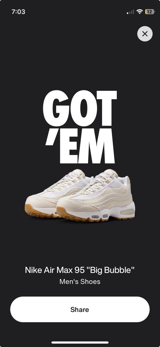 Levis Air Max 95 Size 12 Brand New
