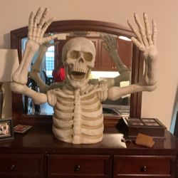 Skeleton Torso 32 Inches High From Torso To Top Of Head  Removable Arms Made Of Ceramic Like Material 3 Feet High Overall