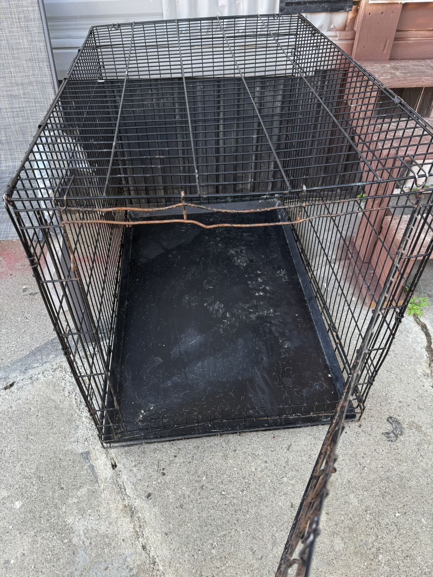 Dog House