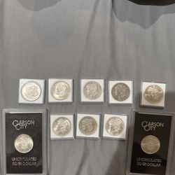 Carson City Morgans
