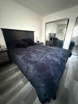 Bed