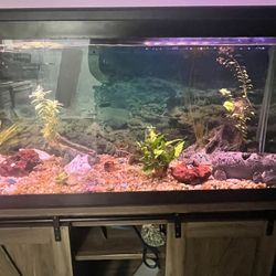 75 Gal Fish Tank with Stand