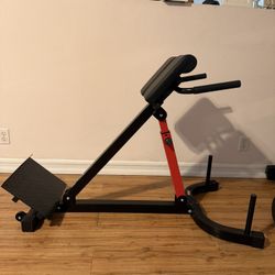 Vevor Back Extension Machine