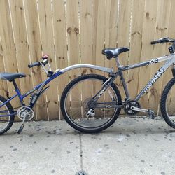 Bike And Trailer