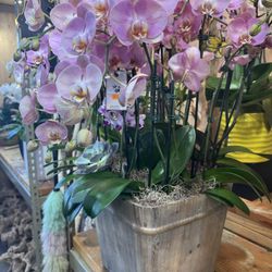 Big Big Orquid  Arrangement Of Real Flowers