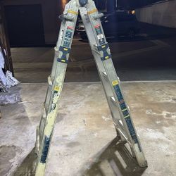 Werner 21’ Multi Ladder