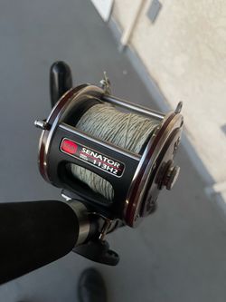 Fishing 🎣 Combo / Penn 113H2 / Optional 113H2LW