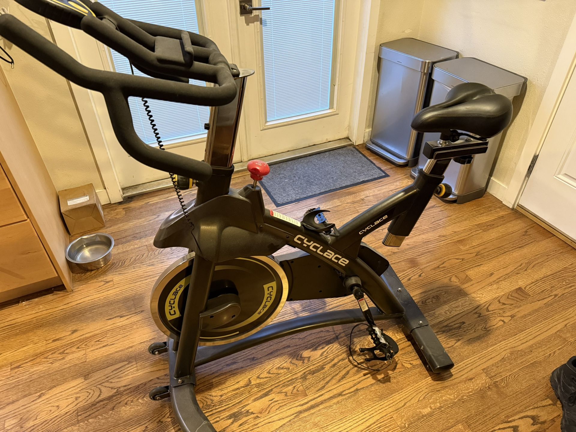 FREE Cyclace exercise Bike