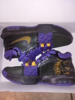 LeBron Witness VIII