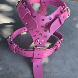 Dog Harness