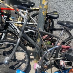 Trek Bike