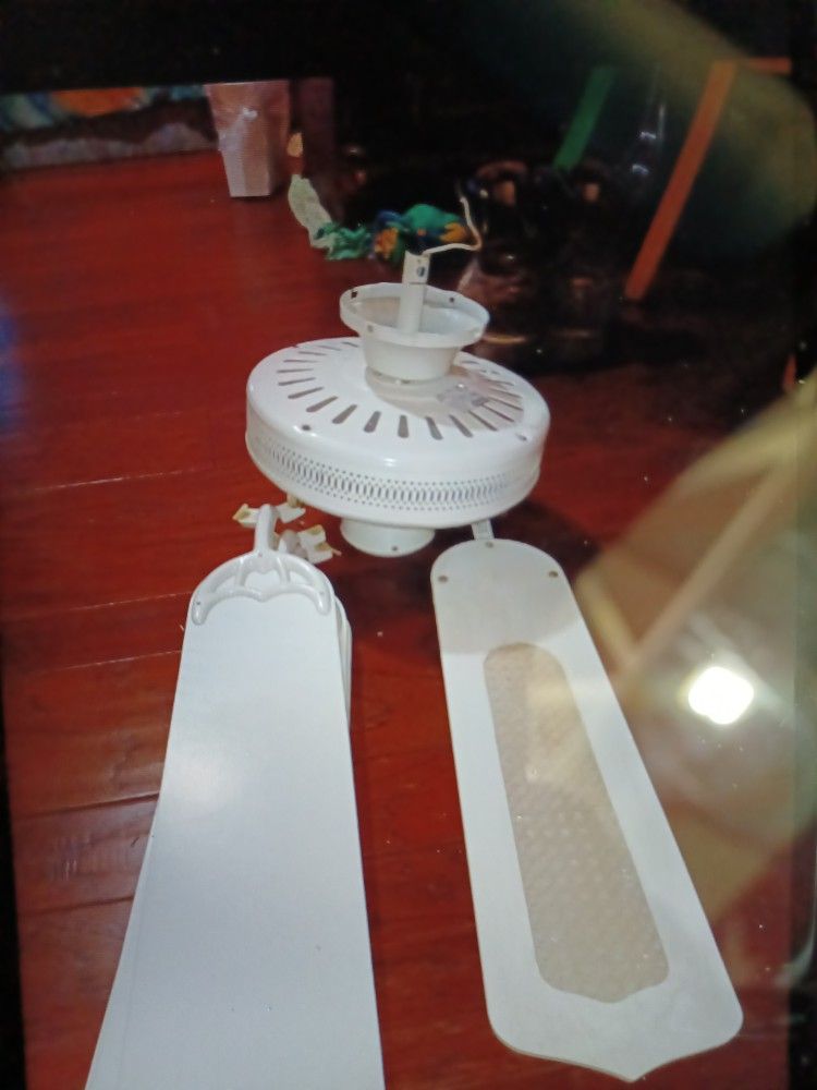 Ceiling Fan