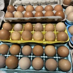Fresh Eggs 