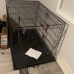 Dog Cage 