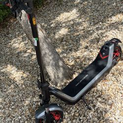 E-SCOOTER  /  NIU KQi300X