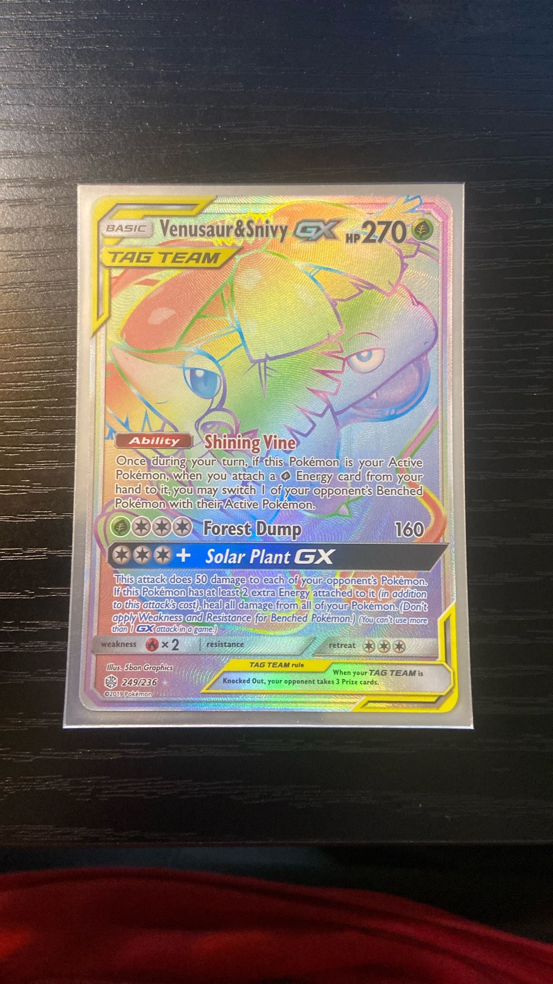 Rainbow Venasaur And Snivy GX Tag Team