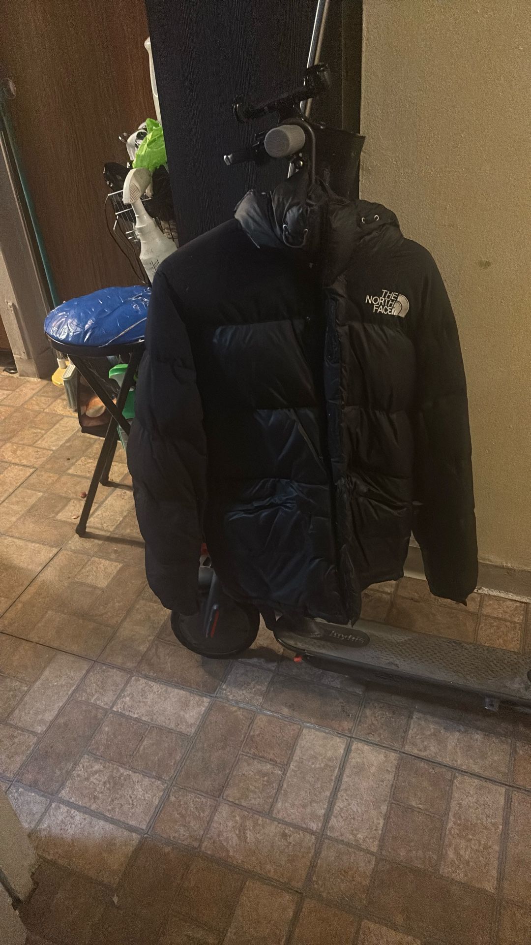 North Face Coat 550