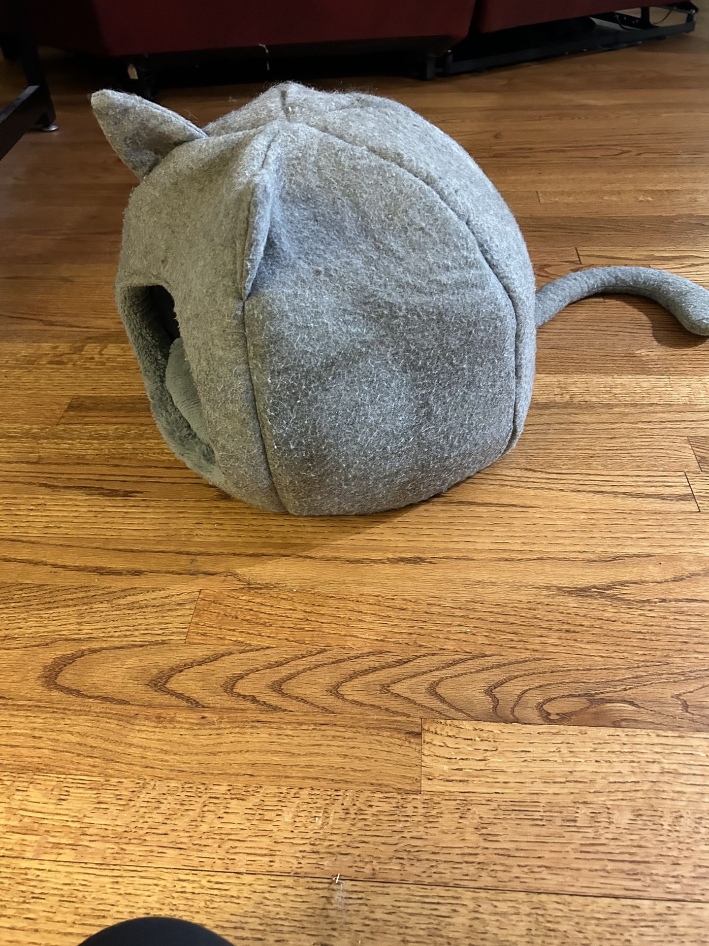 Cat’s House