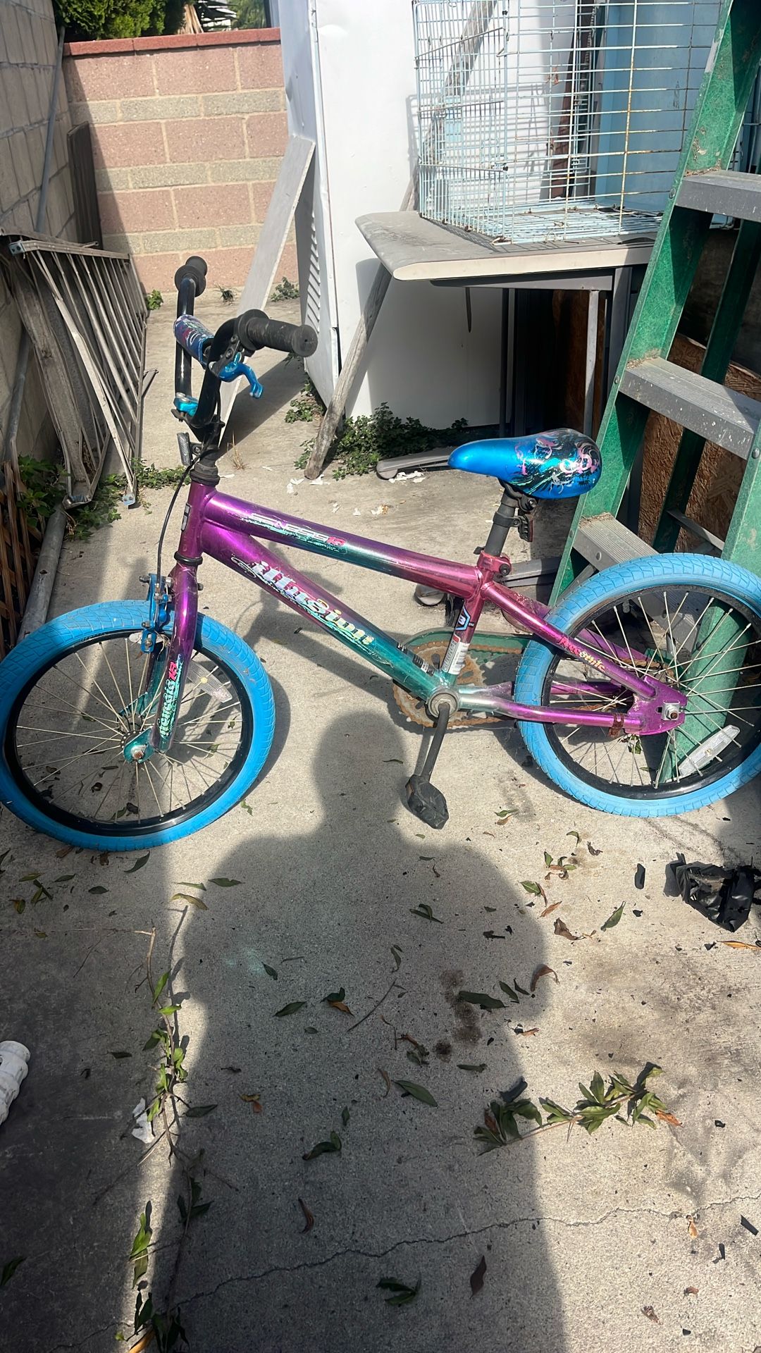 Girls Bike