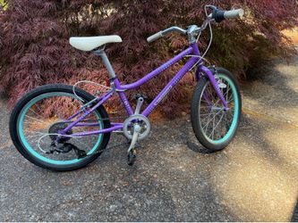 20” bike (Guardian)