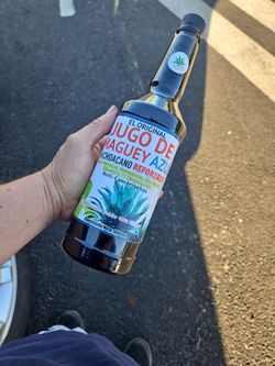 Jugo De Magey Para El Diabetis