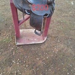 Saddle