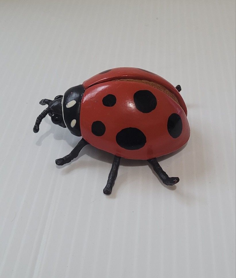 Vintage 2004 Hidden Kingdom SAFARI LTD 3" X 3" Bright Red Ladybug .