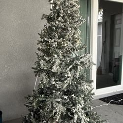 Tree Plus Skirt & Lighted Star