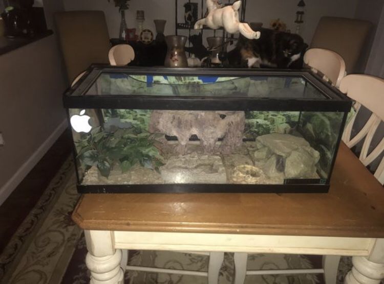 Reptile Terrarium