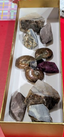 Fine Gems And Old Treasures. Ruby, Sapphire, Ammolite, Chert, Garnet