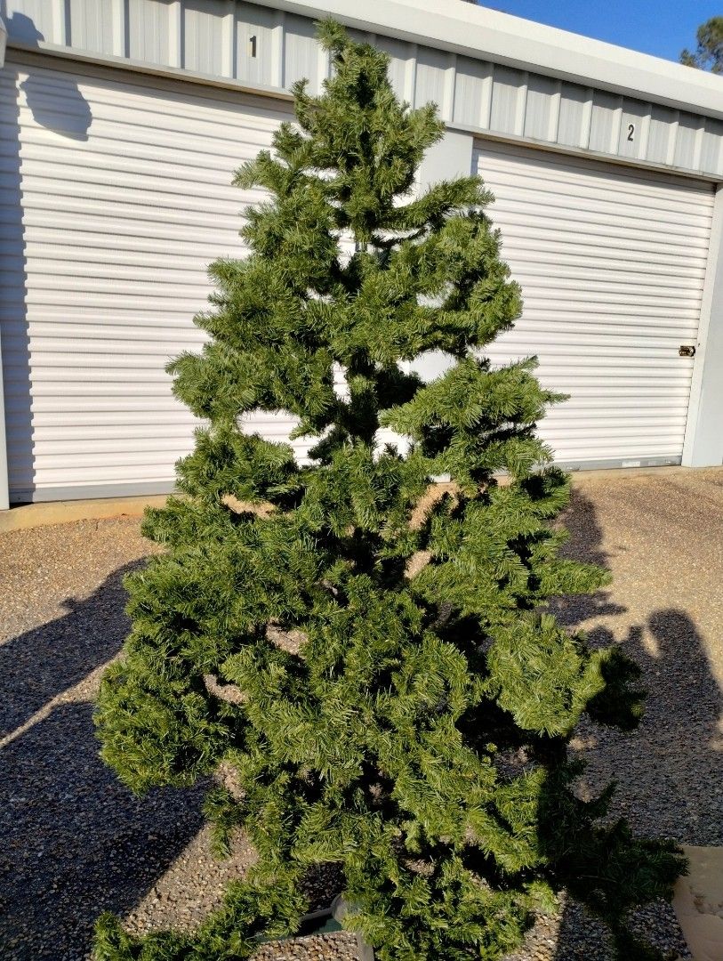 7' Christmas Tree
