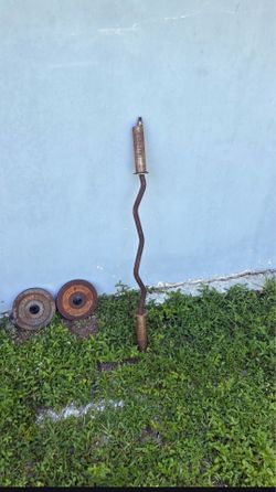 10 pound weights plus curl bar