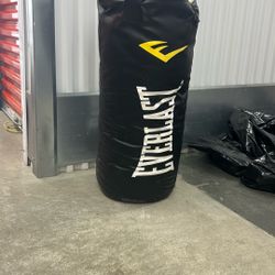 Everlast Punching bag 