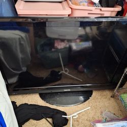 55' Toshiba Tv Plus 65 In Smart TV Bonus